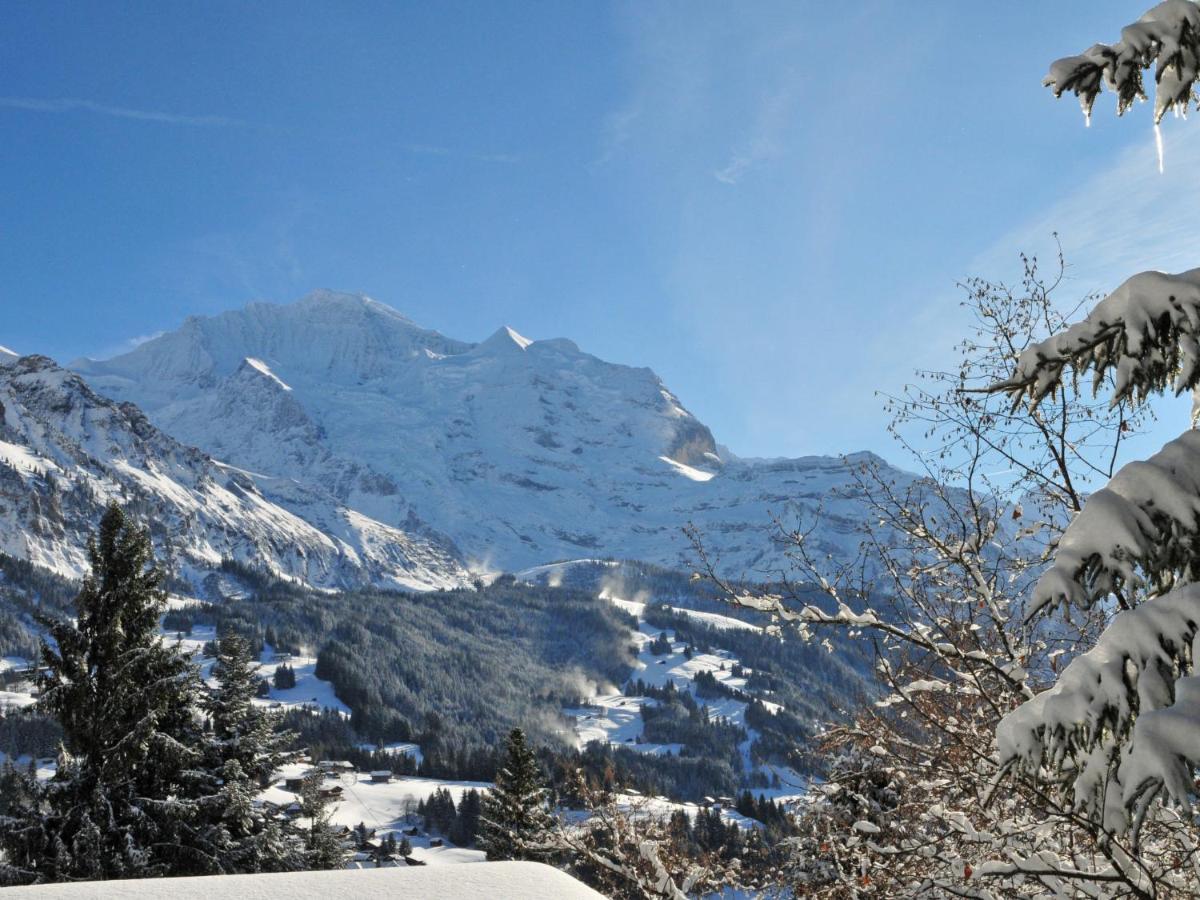 Studio Chalet Silence By Interhome Wengen Kültér fotó